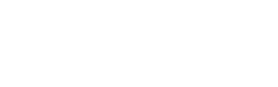 Shopify Plus Partner